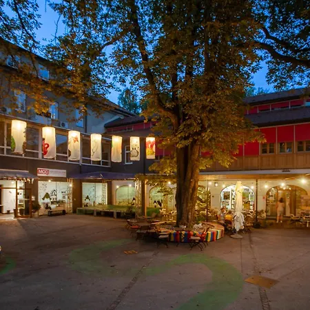 Albergue Mcc